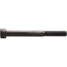 Dial 911 Standard Rouebolt Trottinette - 